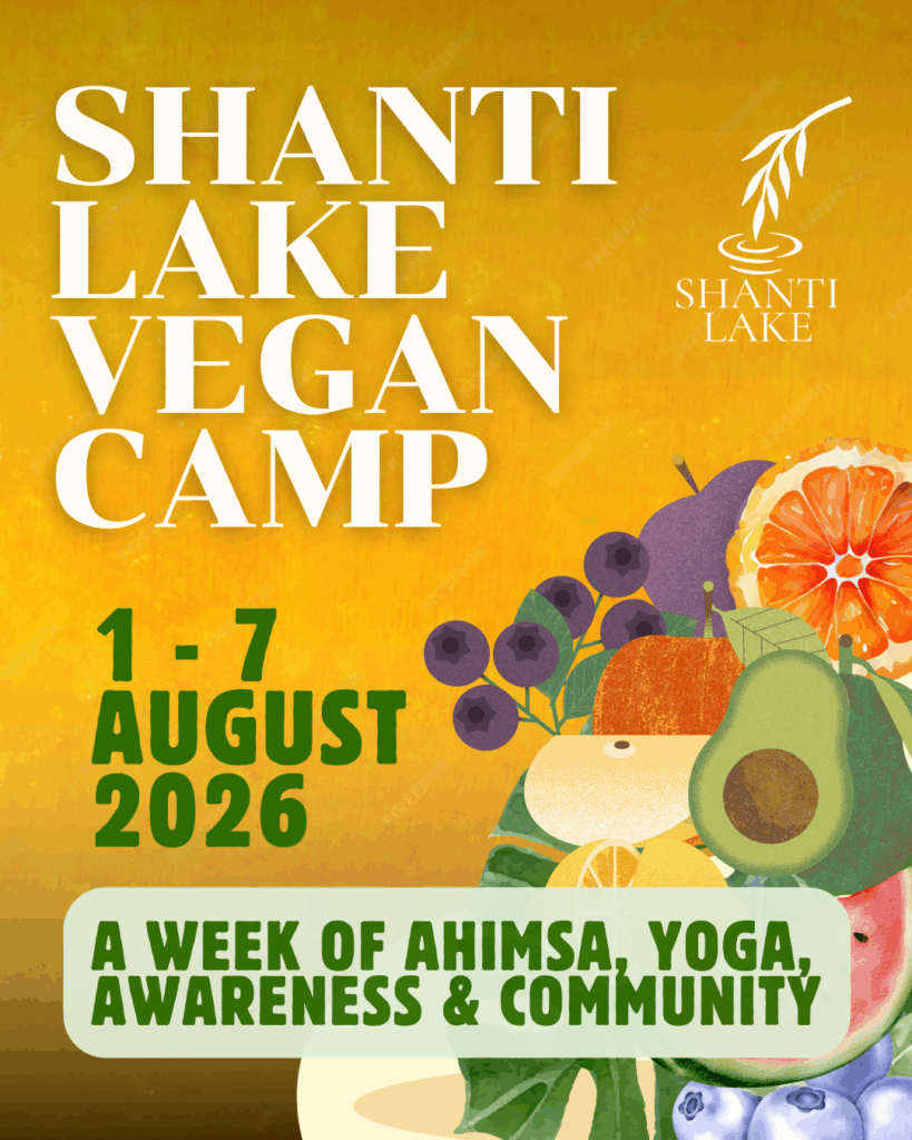 The programs featured image