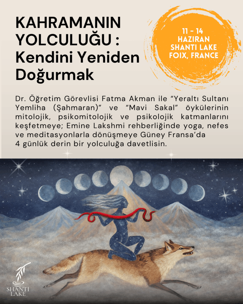 The programs featured image